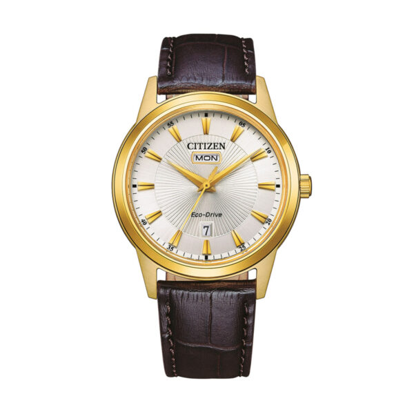 Citizen Eco-Drive AW0102-13AE