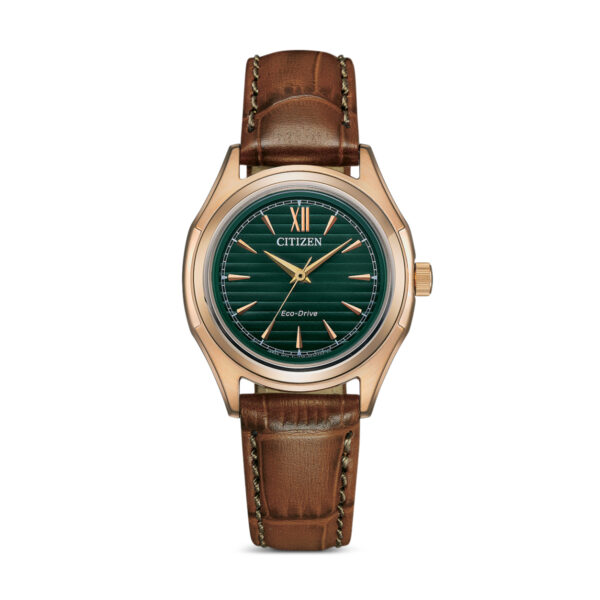 Citizen Eco-Drive FE2113-16X