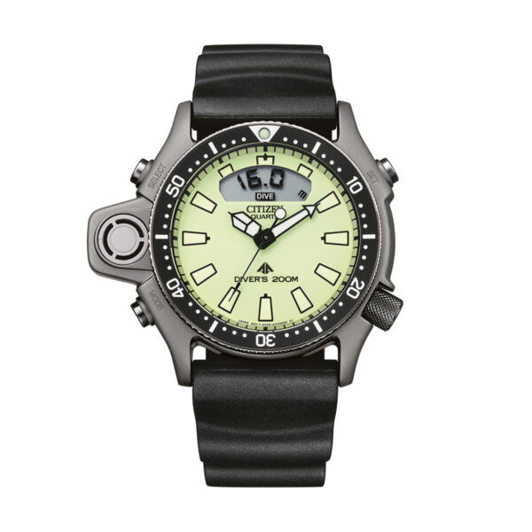 Citizen Promaster Marine