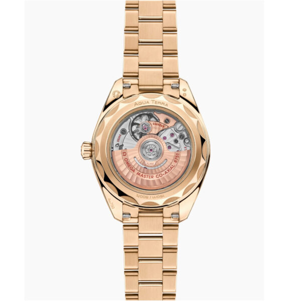 Die OMEGA Seamaster Aqua Terra 150M besitzt ein Gehäuse aus Rotgold mit einem transparenten Boden, der das mechanische Uhrwerk sichtbar macht. Sie hat ein poliertes Metallarmband, und auf dem Gehäuse ist "AQUA TERRA" eingraviert.