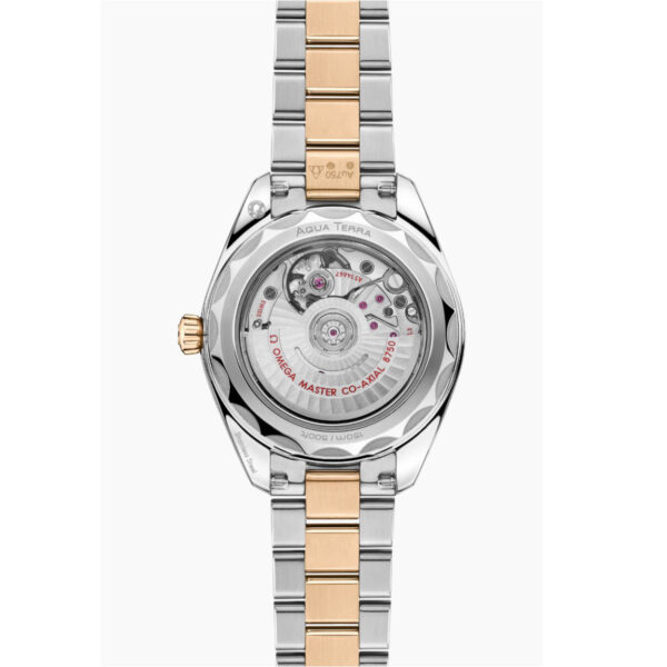 Die OMEGA Seamaster Aquaterra 150M verfügt über ein zweifarbiges Metallband in Silber und Gold, einen transparenten Gehäuseboden, der den Blick auf das mechanische Uhrwerk im Inneren freigibt, sowie die Aufschriften "AQUA TERRA" und "OMEGA MASTER CO-AXIAL 8800".